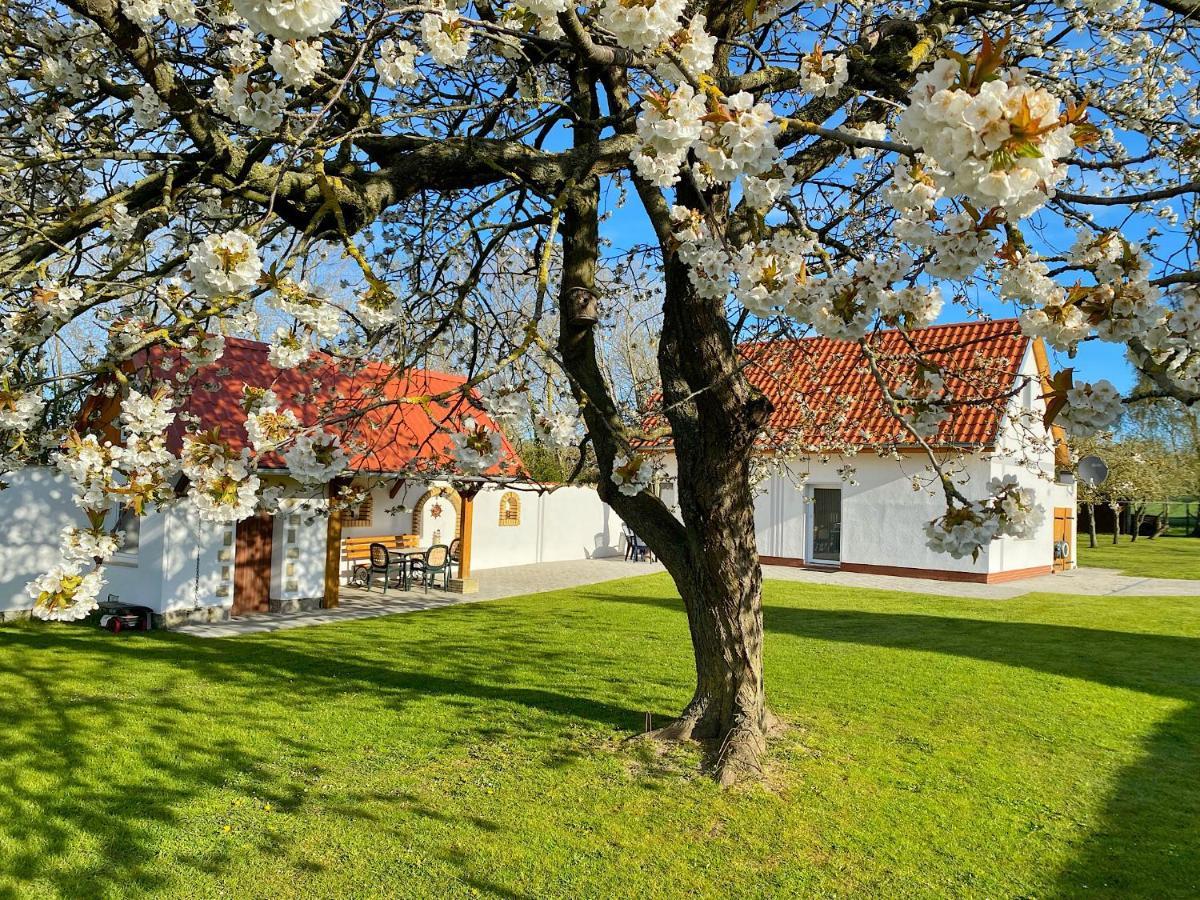 Ferienhaus Berta Sassnitz Luaran gambar